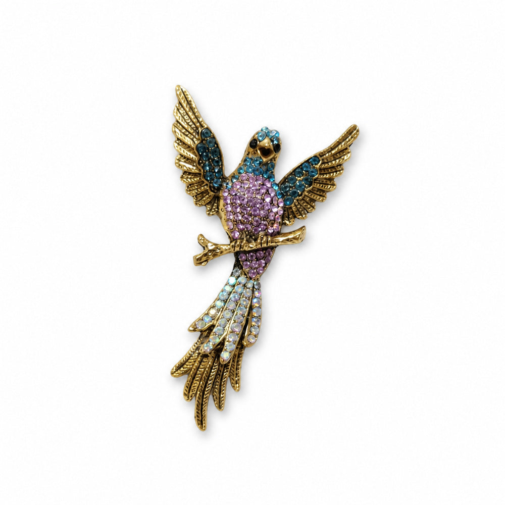 Embellished Hummingbird Brooch in Multicolor