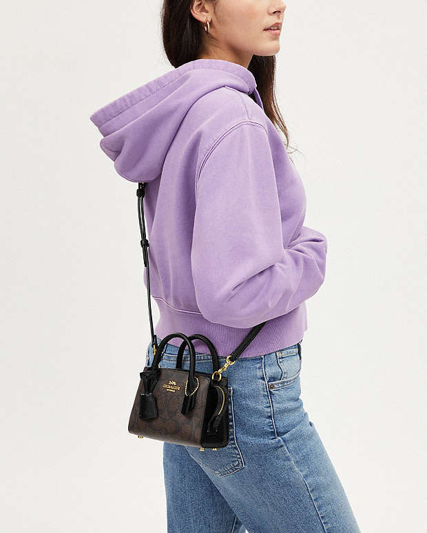 Coach Andrea Mini Carryall In Signature Canvas in Dark Brown