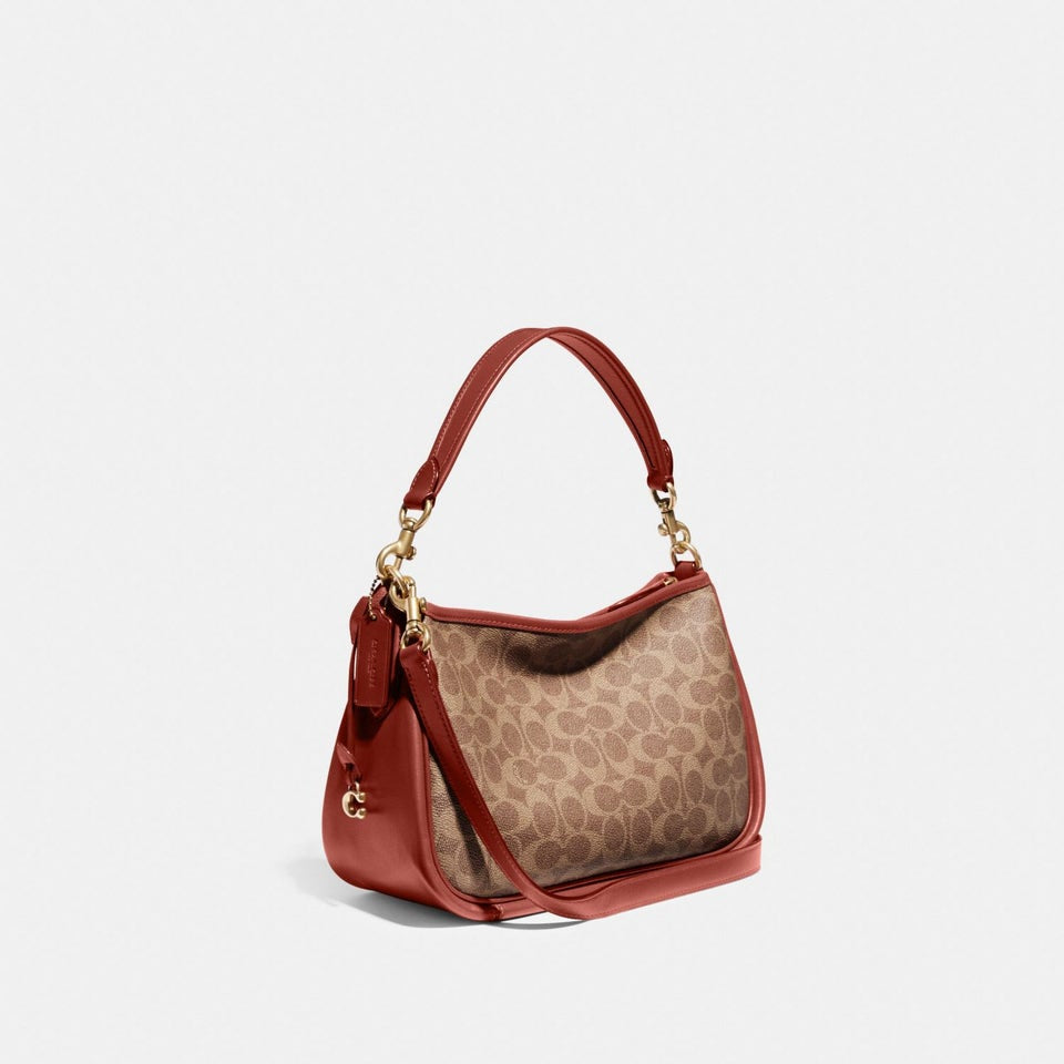 Coach Cary Crossbody In Signature Canvas