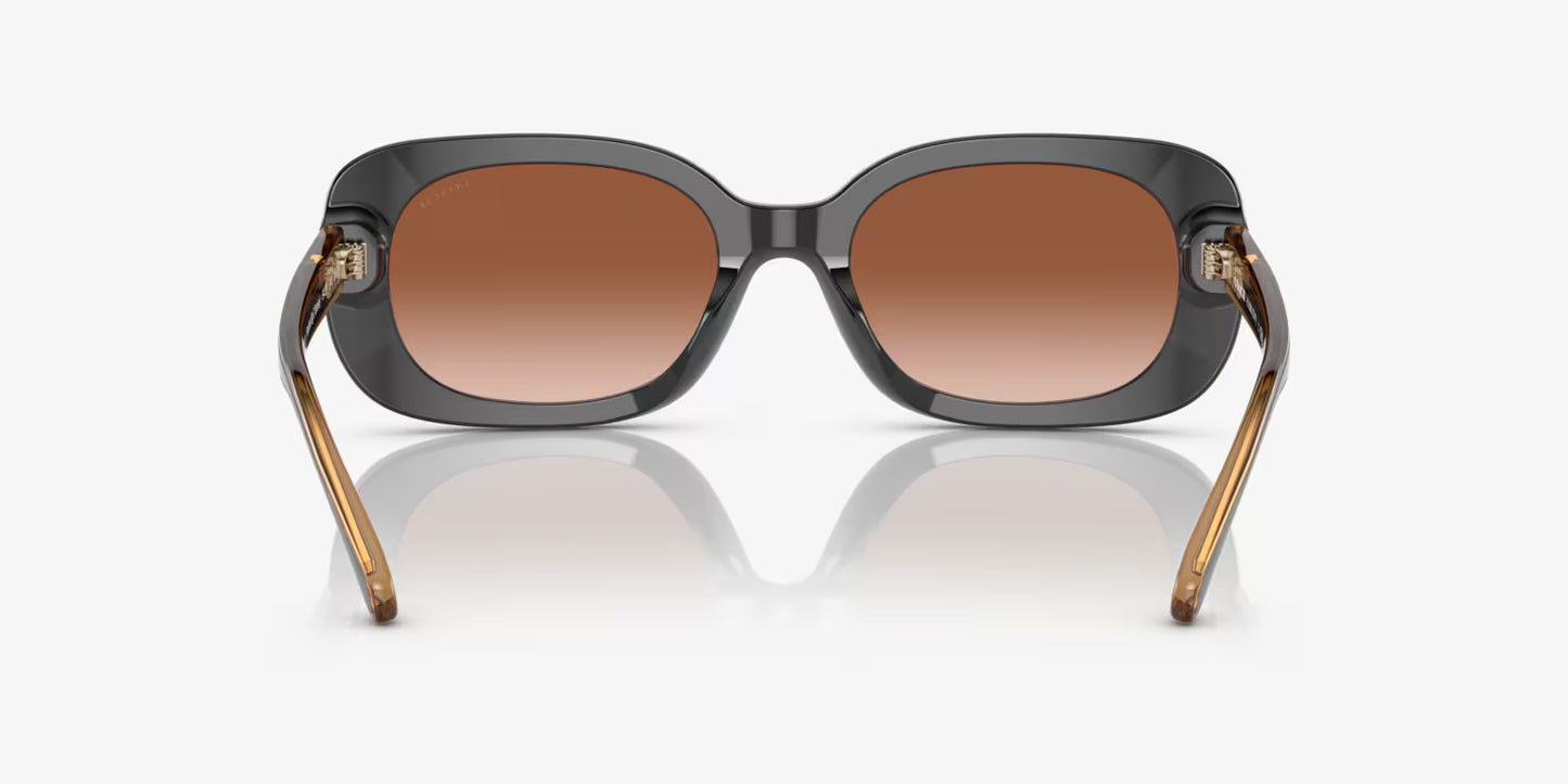 COACH sunglasses brown gradient