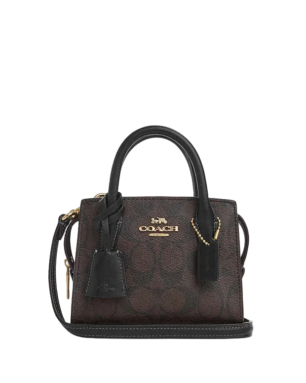 Coach Andrea Mini Carryall In Signature Canvas in Dark Brown