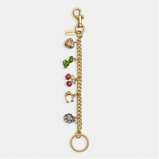 Coach Motif Chain Bag Charm