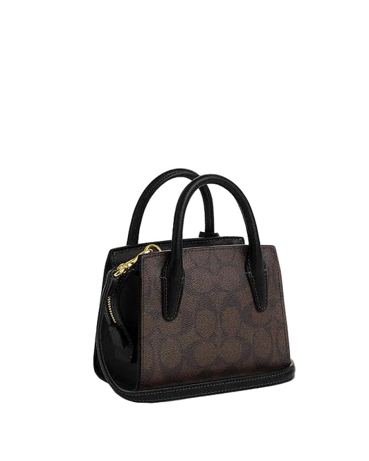 Coach Andrea Mini Carryall In Signature Canvas in Dark Brown