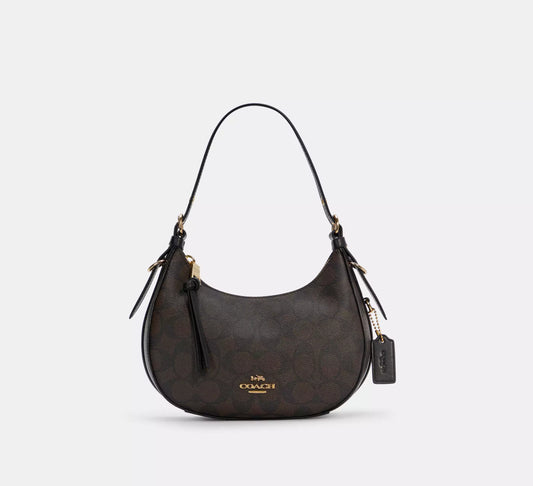 Coach Kleo Hobo In Signature Canvas