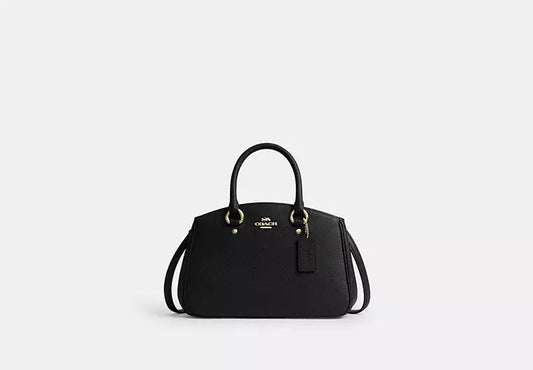 Savannah Small Carryall Bag Coach